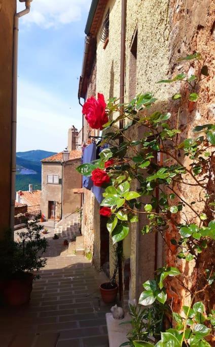 Casa Il Girasole Villa Boccheggiano Екстериор снимка