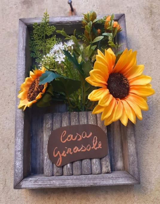 Casa Il Girasole Villa Boccheggiano Екстериор снимка